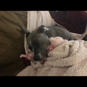 Meet your Posher, Elizabeth